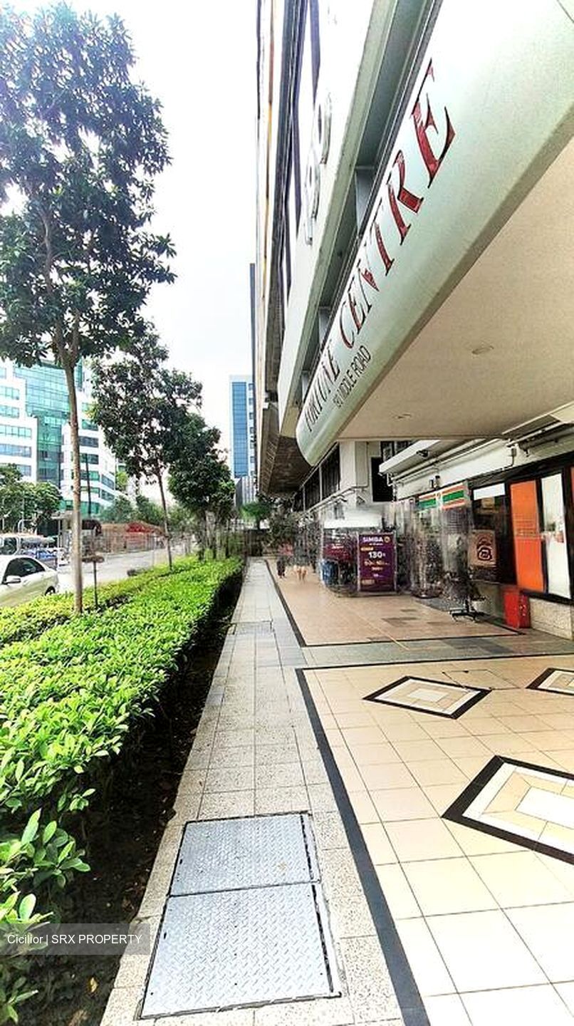 Fortune Centre (D7), Shop House #455686761